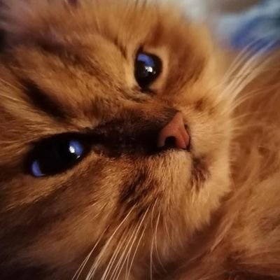_M_IND_'s profile picture. 