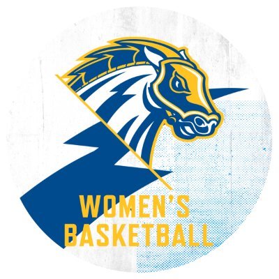 UNewHavenWBB Profile Picture