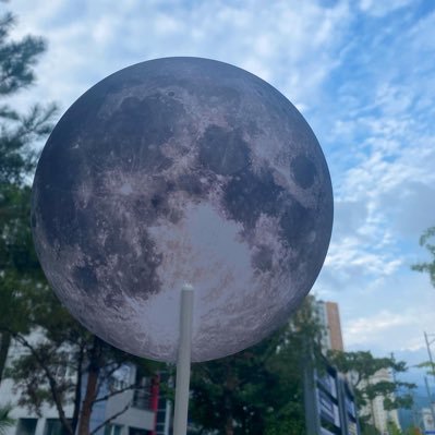 sin5168's profile picture. 긍정마인드 RN