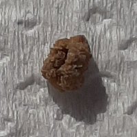 Pedro Caliche (@pedrocaliche) 's Twitter Profile Photo Pedro Caliche (@pedrocaliche) 's Twitter Profile Photo