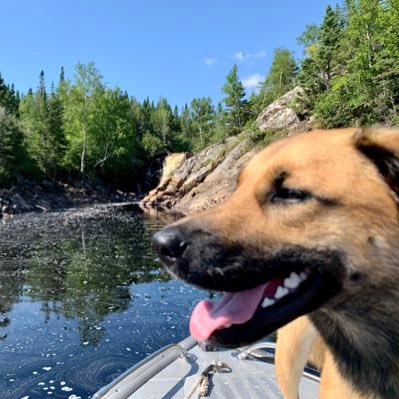 charcull's profile picture. 