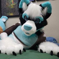 🖤Zingy/Shift🤐 (@shinyzingy) 's Twitter Profile
