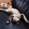 nfon2012's profile picture. ชีวิตติดซีรีย์ และบ่นไปเรื่อย