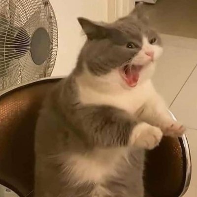 leo45518310's profile picture.