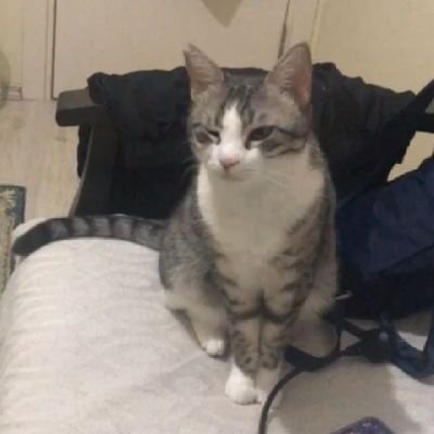 aq_il7's profile picture. opsec