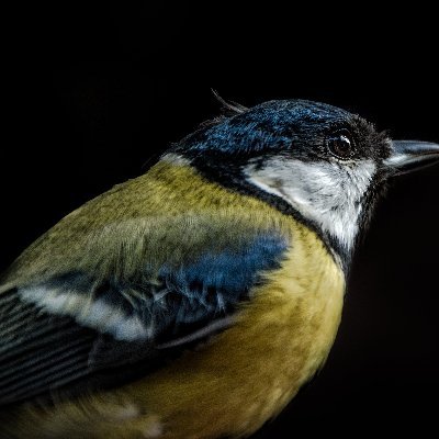 DrAnilKumarIND's profile picture. z.anil7