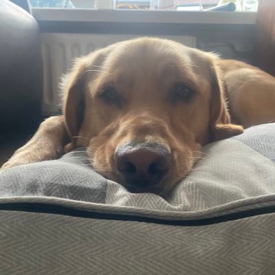 Mary_JaneL00's profile picture. 