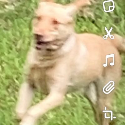 SCCloud5's profile picture. I play on ps4