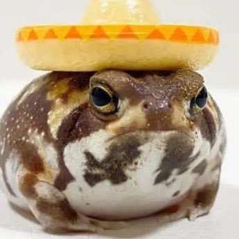 HByousee's profile picture. I don't know what to say, Amazing