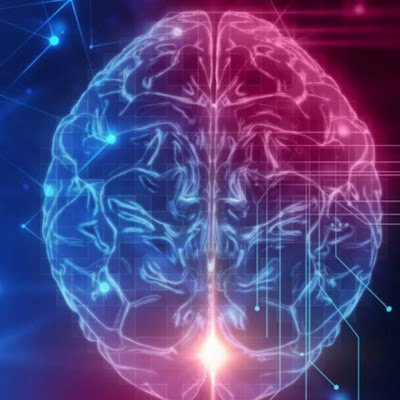 NaikaPierre14's profile picture. Yin yang web