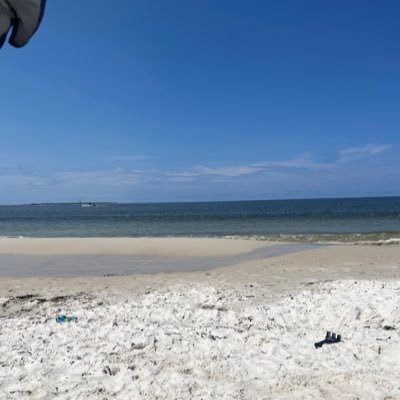 mills3874's profile picture. 