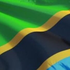 bahatiedwink's profile picture. IT Expert | Farmer