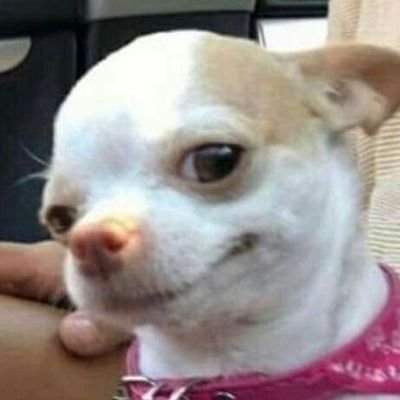 angelduhmp1's profile picture. 