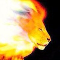 Storm Trader 📈 (@stormtrader7) 's Twitter Profile Photo Storm Trader 📈 (@stormtrader7) 's Twitter Profile Photo