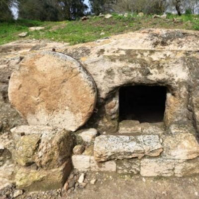 budhaisgreat's profile picture. Surrender and you will find it.