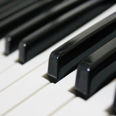 chris_codeweb's profile picture. Web Developer