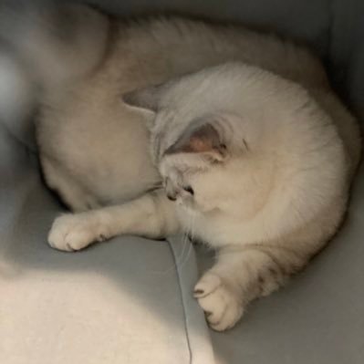 Pepper_JewlsAccさんのプロフィール画像