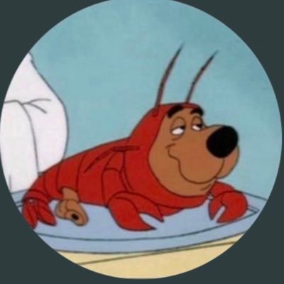 Part time Humorist full time Oasis fan, proud boyfriend of a military wife, Eric Adams defender, George Santos defender, Andrew Cuomo enjoyer, CTE truther