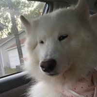 🔥 (@rileyrist) 's Twitter Profile