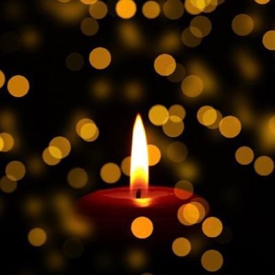 liberalcmbtvet's profile picture. Liberal vet tired of conservatives always speaking for him. Proudly blocked by Seb Gorka.