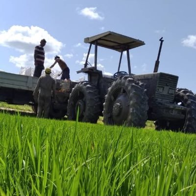 Agricultor de nacimiento Ing. Agrónomo UCLA productor de cereales y leguminosas, Acarigua- Portuguesa - Venezuela