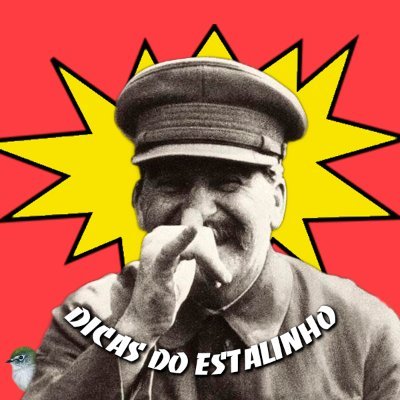 Este perfil defende o legado de Stalin, pai dos povos e coveiro do nazismo.