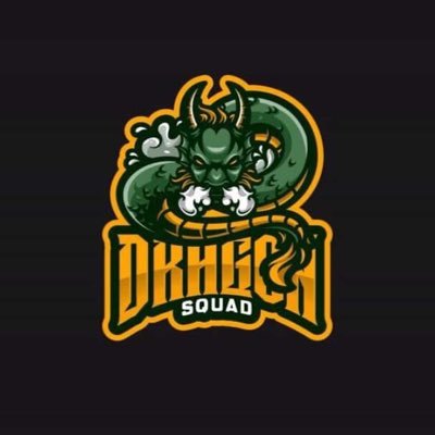 Team Dragon Profile