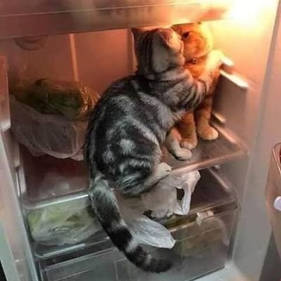 EwSenseii's profile picture. I'm sad... But, I'll make you happy with gifts 🙂