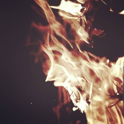 DhwaniModi18's profile picture. 