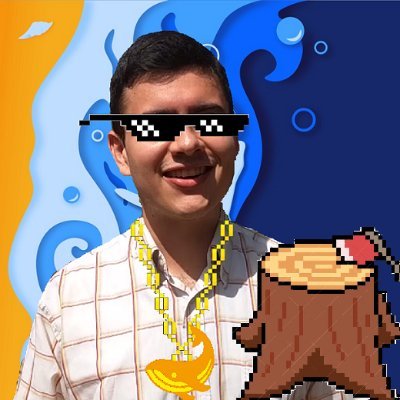 monradev's profile picture. 🇻🇪 Lumberjack @ResurfaceLabs 🇺🇸 🇳🇵