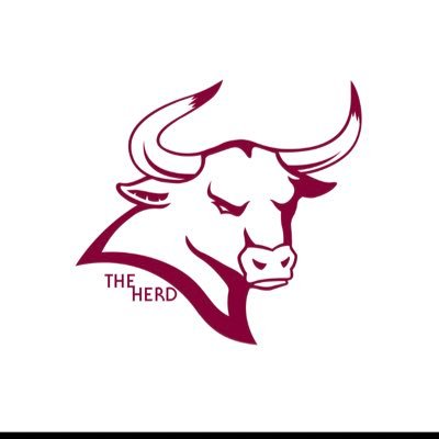 Official Twitter of The Herd! GET READY TO RUMBLE!🤘🏼🐂#rumblemavs #welikeitrowdy Instagram:TheHerdCMU