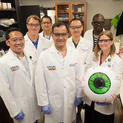 The Apte Laboratory in @WustlDOVS of @WUSTLmed/@WUSTL. We broadly study aging, inflammation, and eye disease.