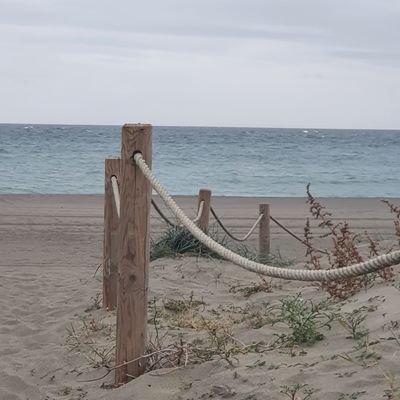 sa_ga_sa's profile picture. Solo se que no sé nada y tú?