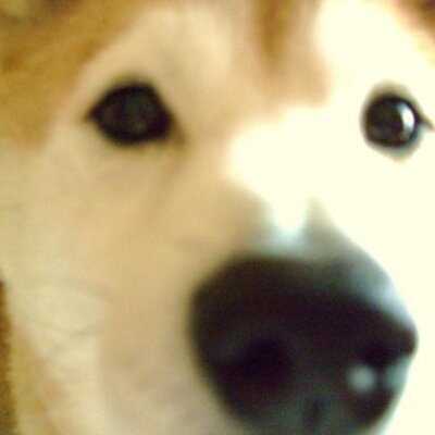 C_Suzukiのプロフィール写真