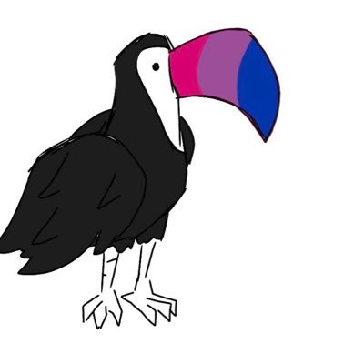 Texan Toucan