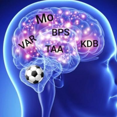 A brain devoted to FPL | 15k OR in 22/23 - 4k in 21/22 - 19k in 20/21 - 16k in 19/20 - 28k in 18/19 | 2x TFF top 500 | 📝 The Complete Guide to FPL