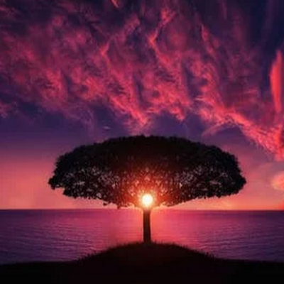 LovelyBees5's profile picture. Dinooo - Svt