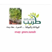 🌳رابطة طريب الخضراء 🌳 (@g_tareeb) 's Twitter Profile