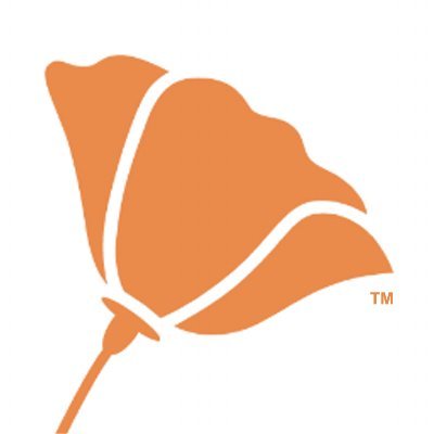 Irvine Foundation Profile