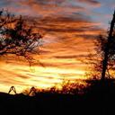 lynn biggs - @lyndsyloo - Twitter