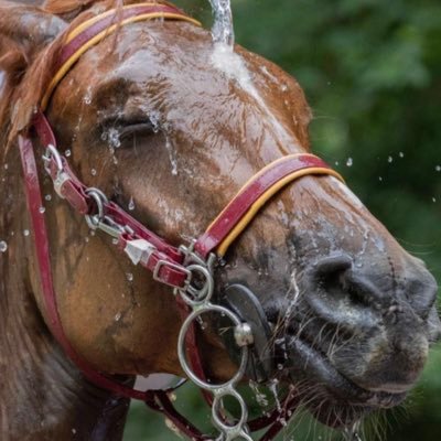 2018_reemmmmm's profile picture. 