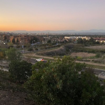 RobertaWoe's profile picture. modern Chinese art and visual culture enthusiast