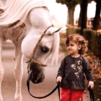 السَعادة مُعدية فاحرصْ على مُخالطة السُعداء! لعلّه يصيبك شيء من سَعادتهمْ فقد قَالت العرب قديماً : من جَاور السعيد يسعد,,,💞🌷
