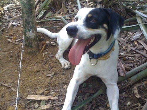 fcheo's profile picture. Optimista con nuestro futuro. 100% Venezolano.