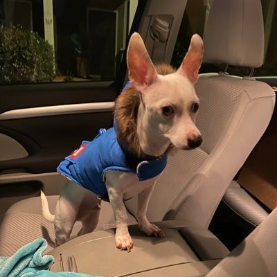 treypleh's profile picture. 