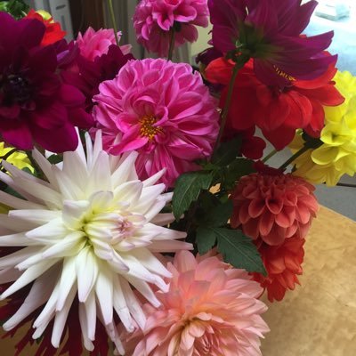 0jXiFOljtXRGRyQ's profile picture. 香取慎吾さんに沼落ちして6年になります。新しい地図のNAKAMAです。SMAPさんが復活するのを待ちながら香取慎吾さんを絶賛応援中。 2022.4.「あの子たち」の一人になりました。