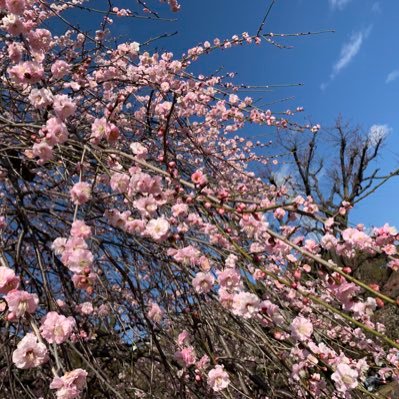 jdkellkjh's profile picture. 