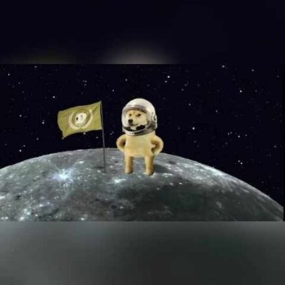 Tothem00n3's profile picture. failed trader