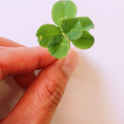 4lfS2a4O9xZLAbA's profile picture. ワンコ大好き幸せママ