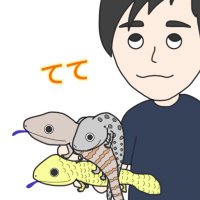 てて (@aozitanotiemi) Twitter profile photo
